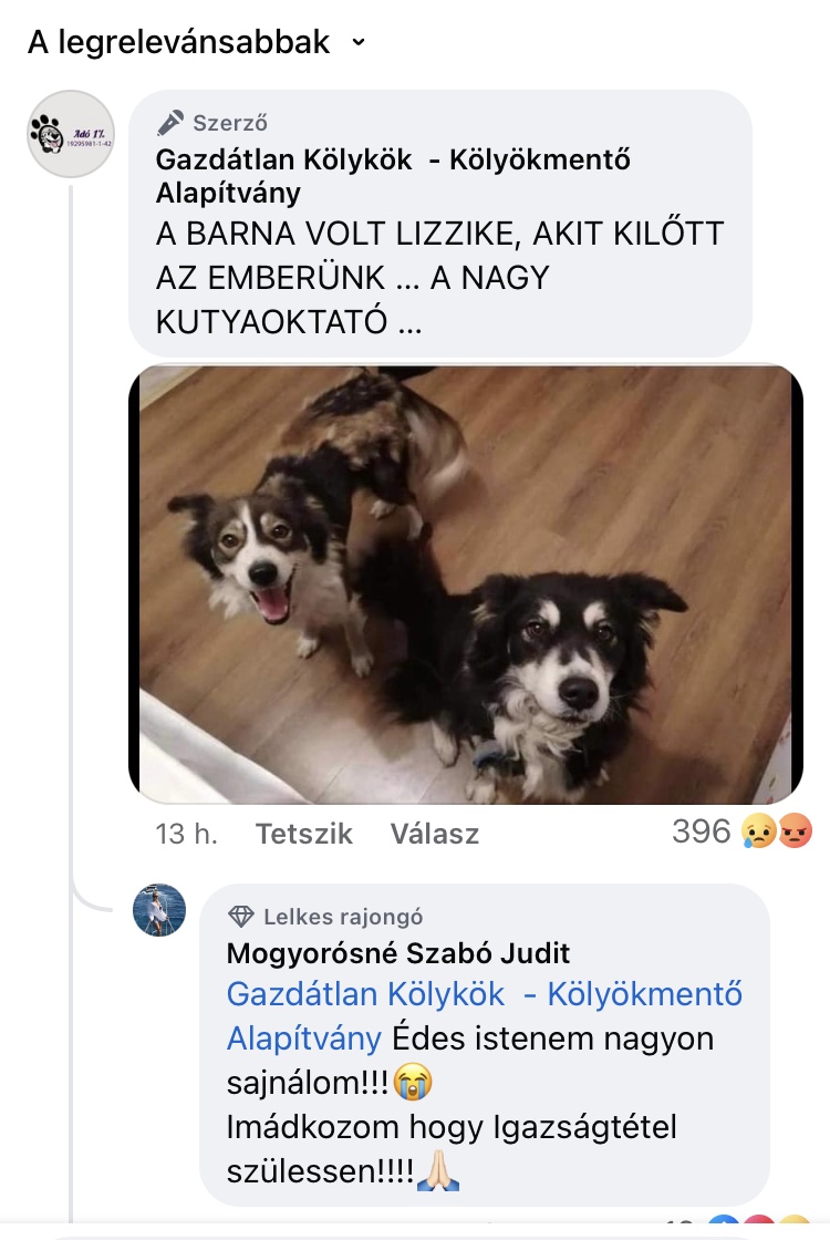 Állatkínzás bűntette miatt rendőrségi eljárás folyik ellene! Nézd meg a videókat!